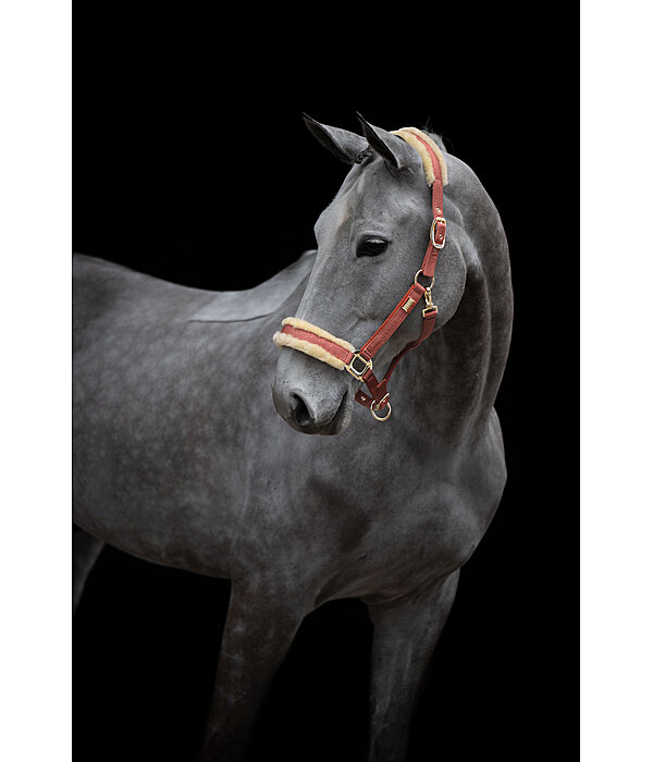 Headcollar Sparkling II