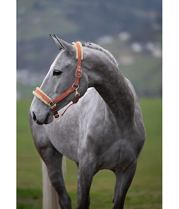 Headcollar Sparkling II