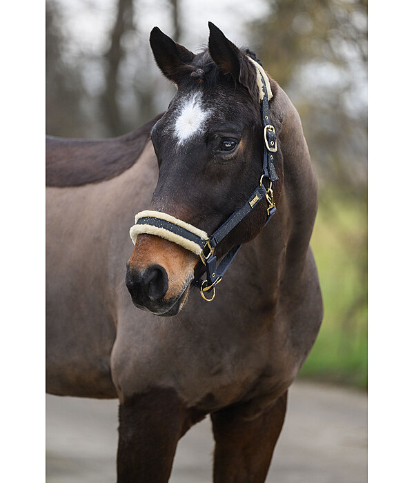 Headcollar Sparkling II