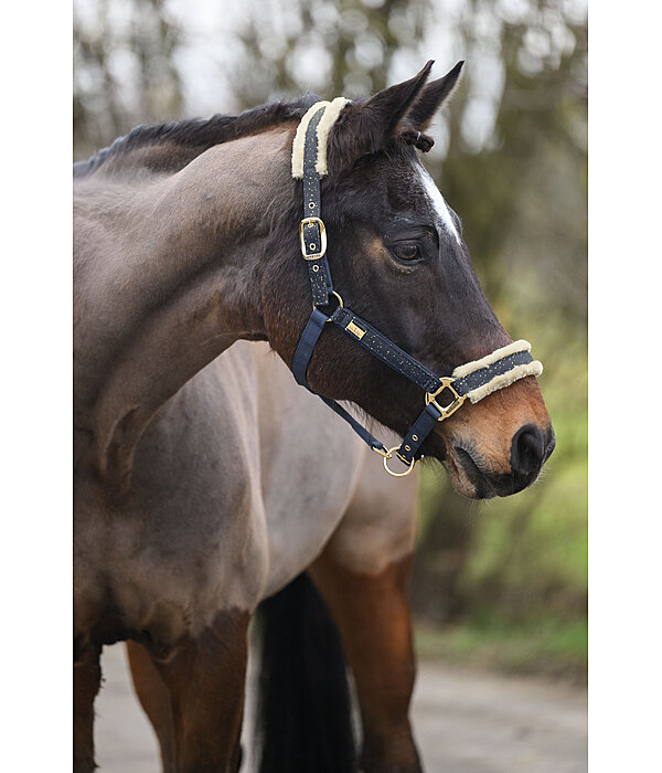 Headcollar Sparkling II