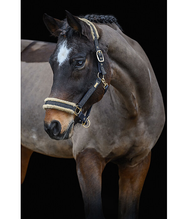 Headcollar Sparkling II