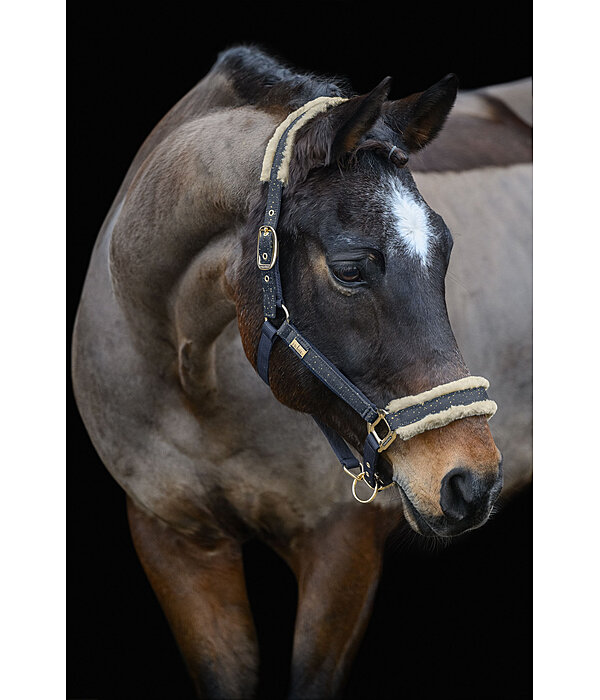 Headcollar Sparkling II