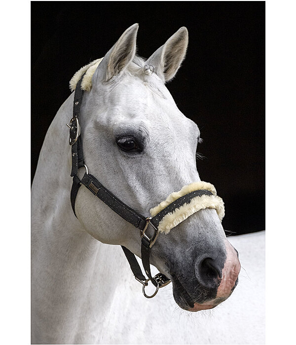 Headcollar Sparkling II