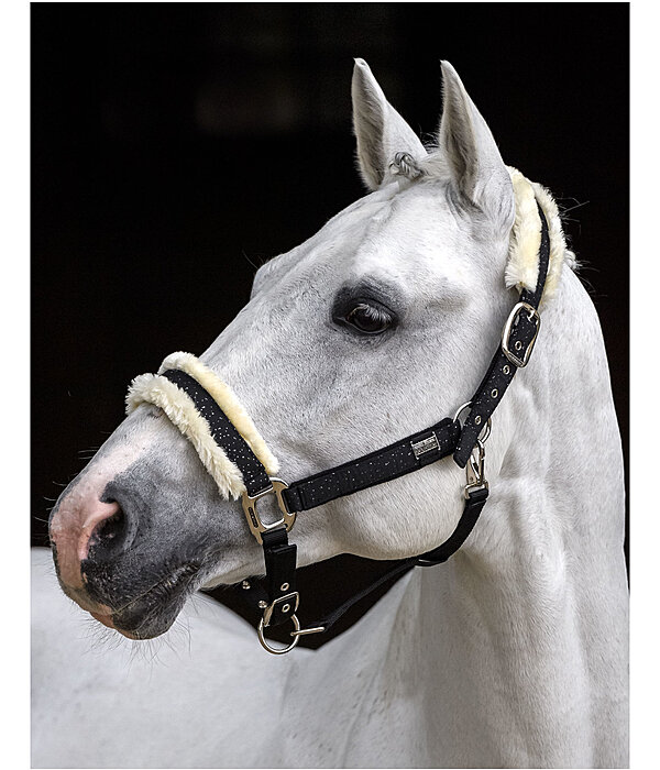 Headcollar Sparkling II