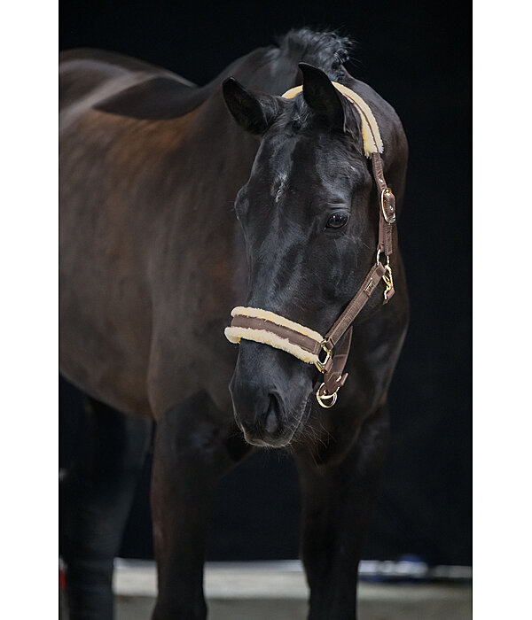 Headcollar Sparkling II
