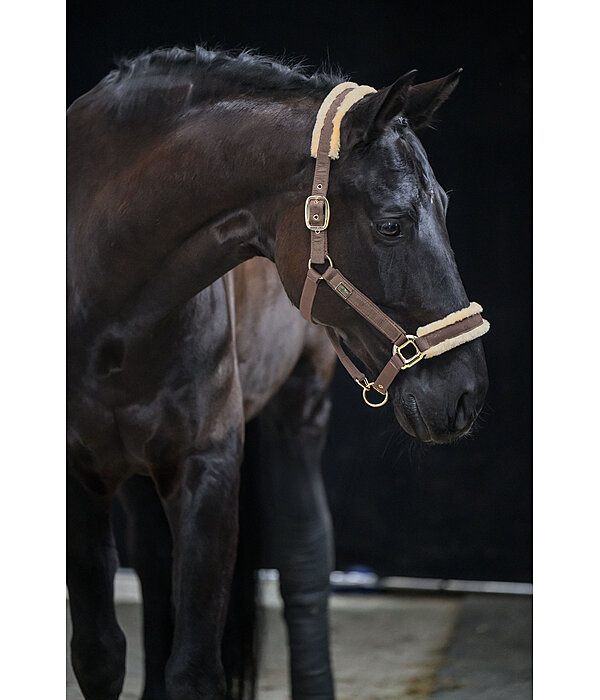 Headcollar Sparkling II