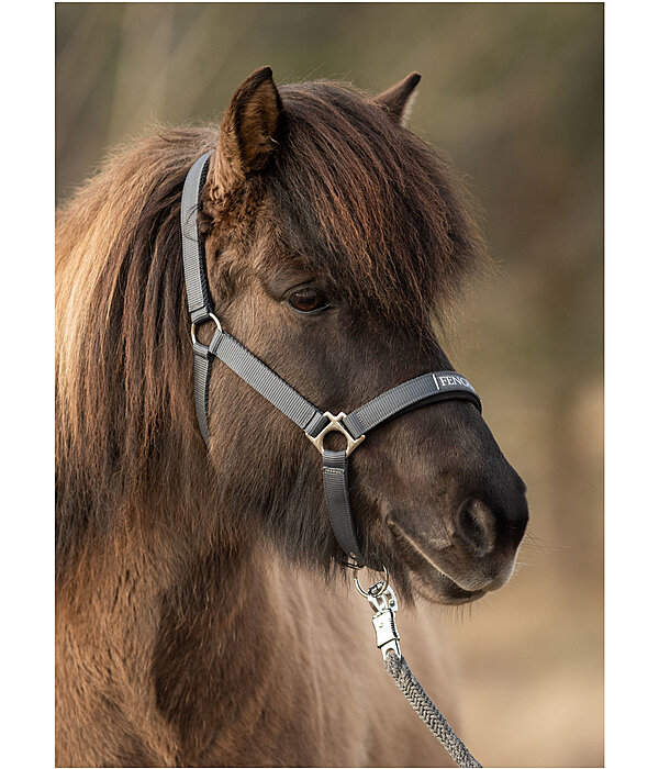 Headcollar Viktor