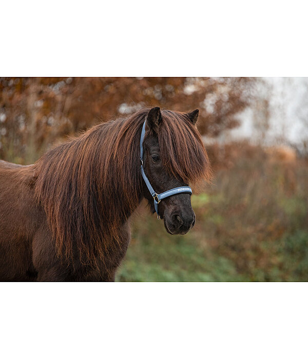 Headcollar Viktor