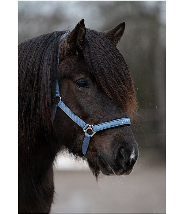 Headcollar Viktor