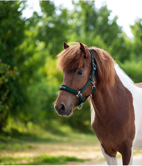 Headcollar Viktor