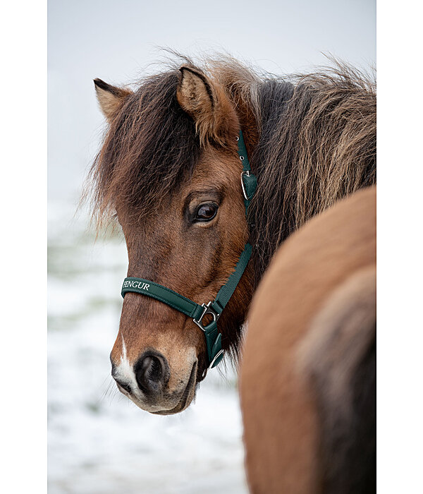 Headcollar Viktor