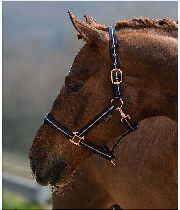 Headcollar Shimmering