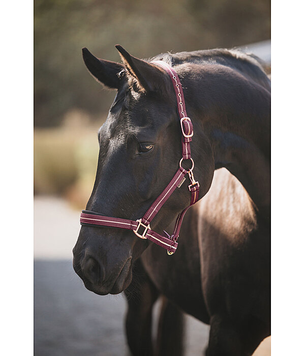 Headcollar Shimmering