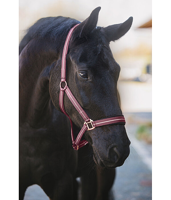 Headcollar Shimmering