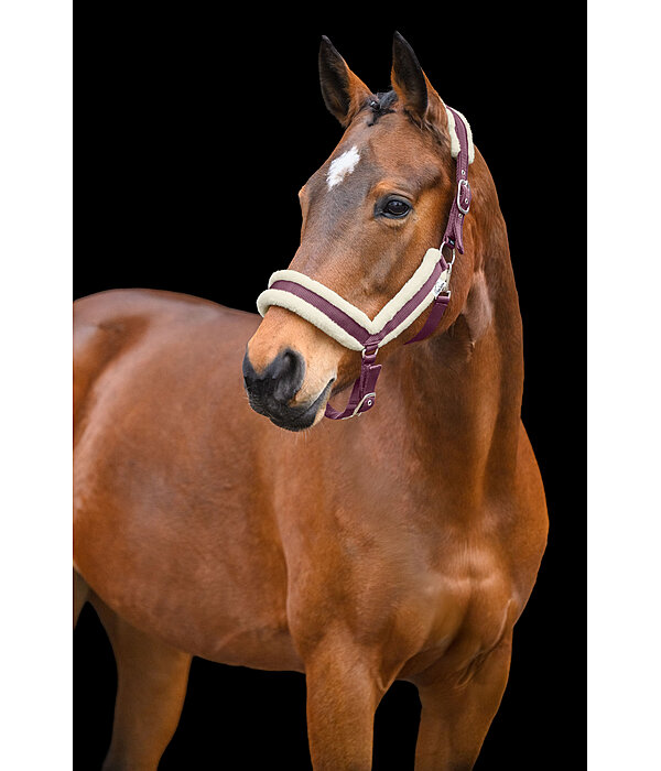 Teddy Fleece Headcollar Anatomical Relaxation