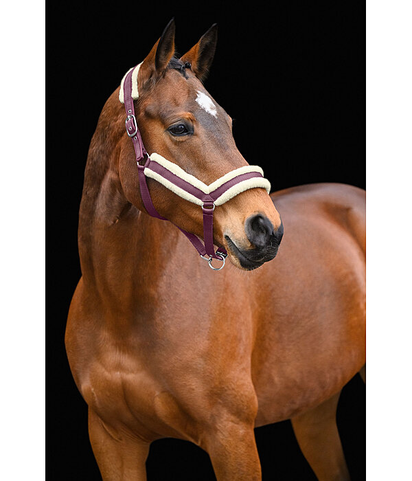 Teddy Fleece Headcollar Anatomical Relaxation