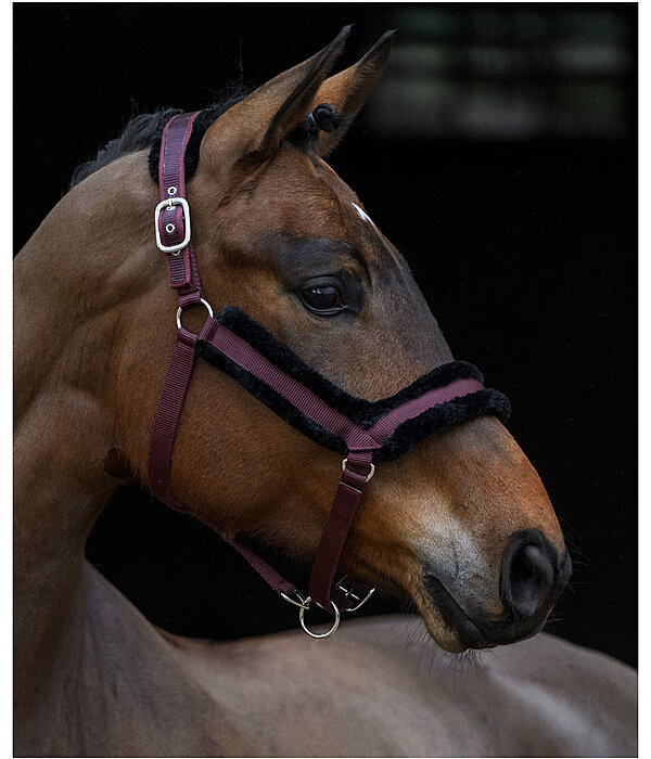 Teddy Fleece Headcollar Anatomical Relaxation
