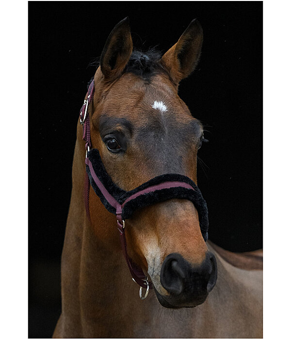 Teddy Fleece Headcollar Anatomical Relaxation
