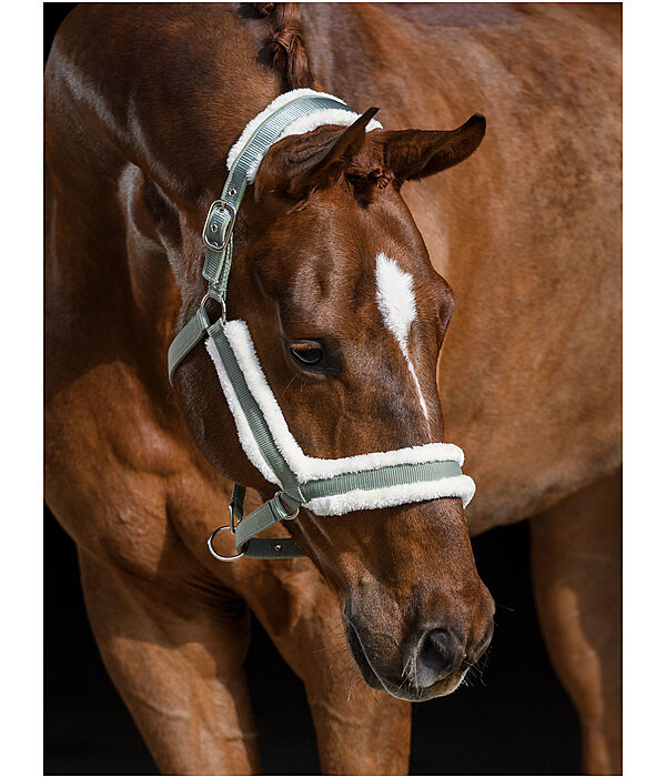 Teddy Fleece Headcollar Anatomical Relaxation