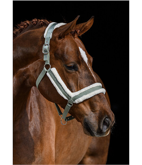 Teddy Fleece Headcollar Anatomical Relaxation