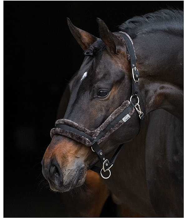 Teddy Fleece Headcollar Anatomical Relaxation