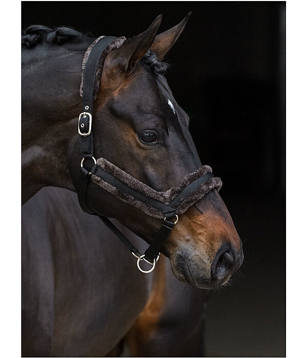 Teddy Fleece Headcollar Anatomical Relaxation