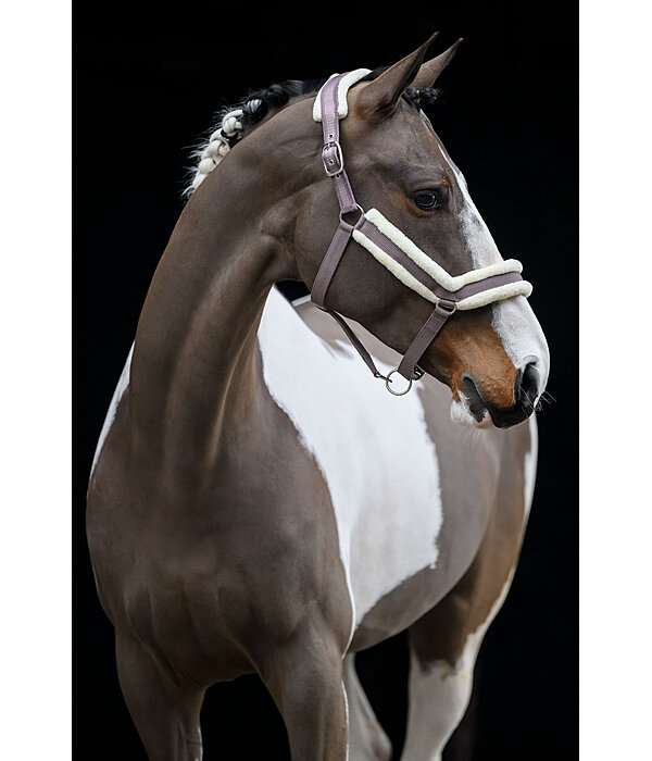 Teddy Fleece Headcollar Anatomical Relaxation