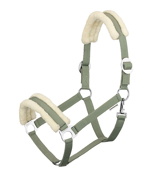 Teddy Fleece Headcollar Super Price III