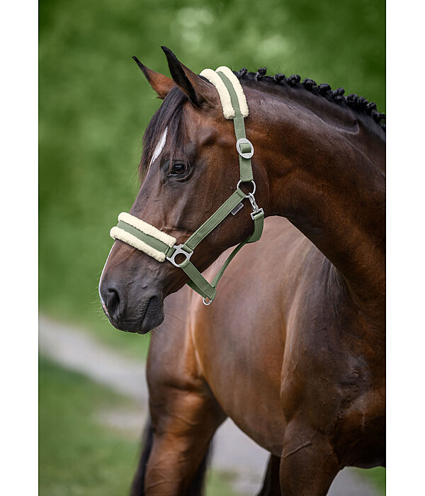Teddy Fleece Headcollar Super Price III