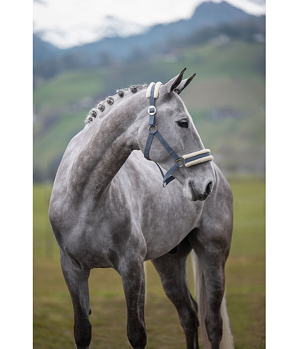 Teddy Fleece Headcollar Super Price III