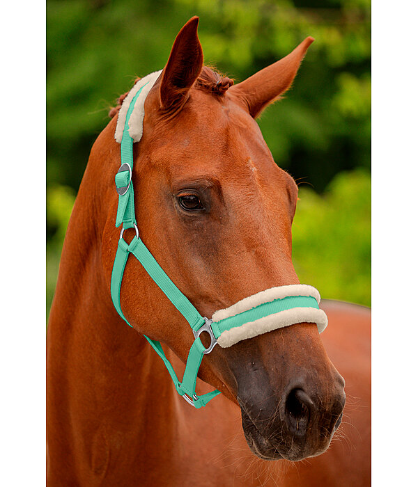 Teddy Fleece Headcollar Super Price III