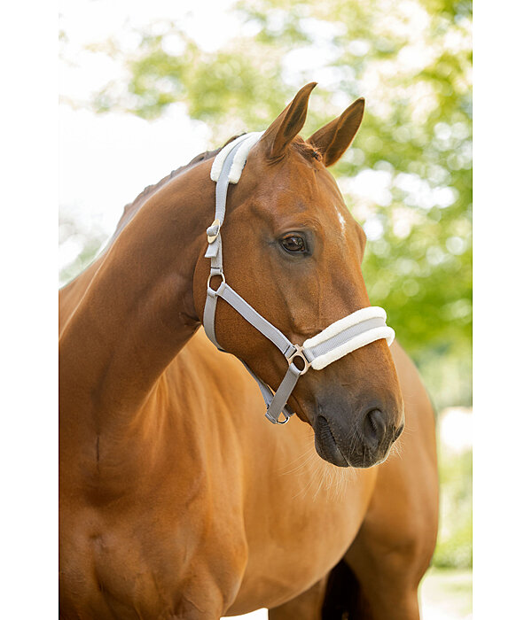 Teddy Fleece Headcollar Super Price III