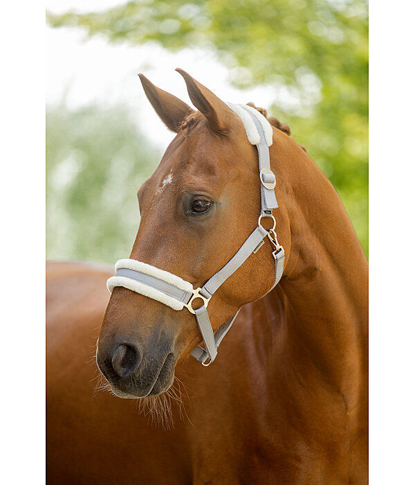 Teddy Fleece Headcollar Super Price III