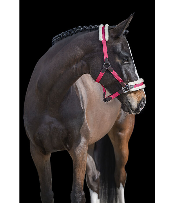 Teddy Fleece Headcollar Super Price III