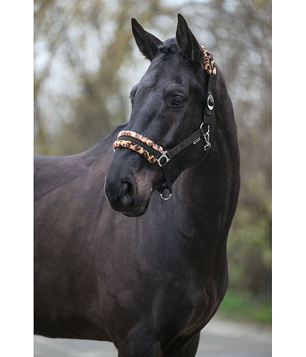 Teddy Fleece Headcollar Super Price III