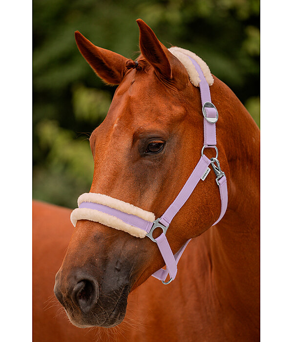 Teddy Fleece Headcollar Super Price III