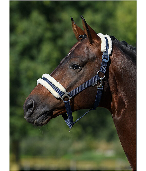 Teddy Fleece Headcollar Super Price III