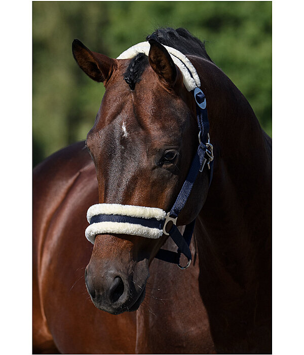 Teddy Fleece Headcollar Super Price III