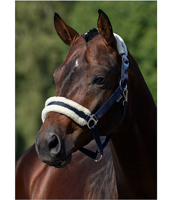 Teddy Fleece Headcollar Super Price III