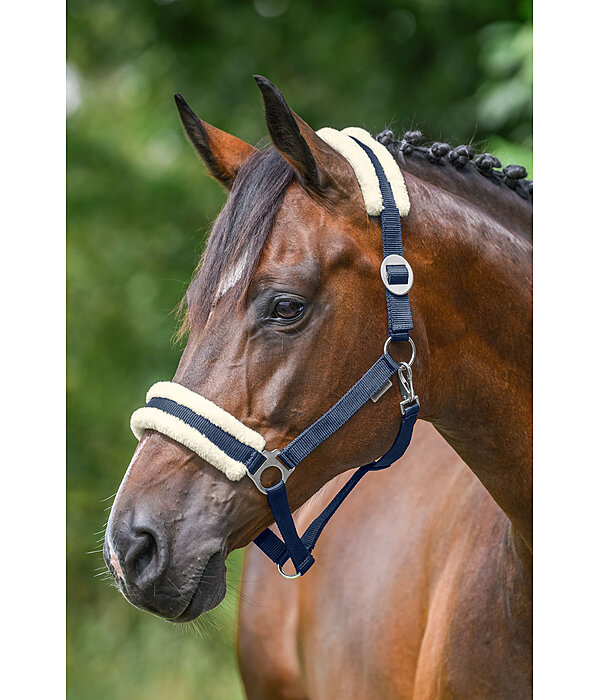 Teddy Fleece Headcollar Super Price III