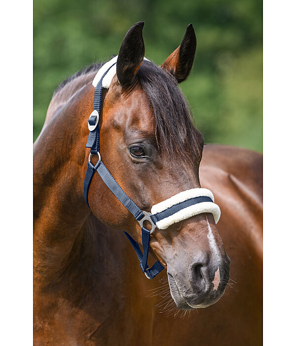 Teddy Fleece Headcollar Super Price III