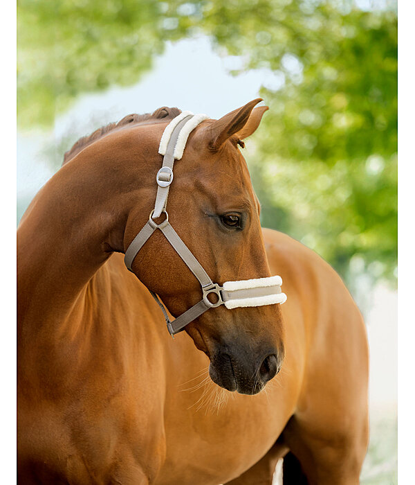 Teddy Fleece Headcollar Super Price III