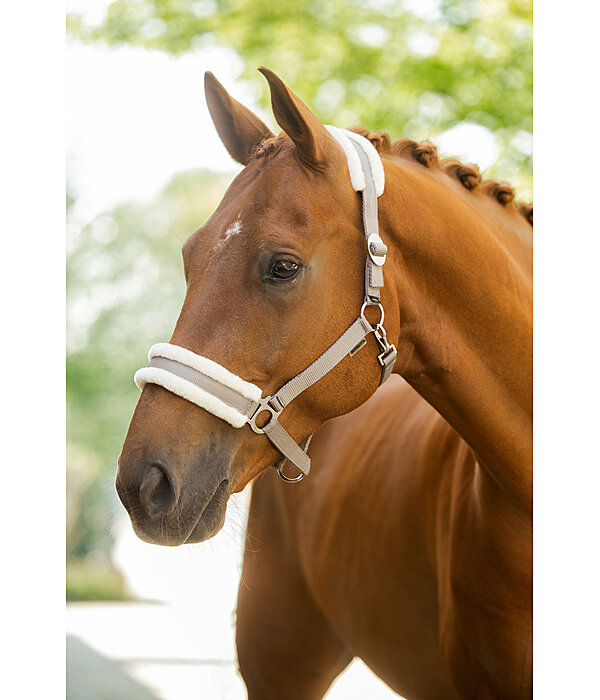 Teddy Fleece Headcollar Super Price III