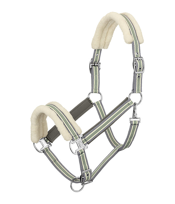 Teddy Fleece Headcollar Essential II