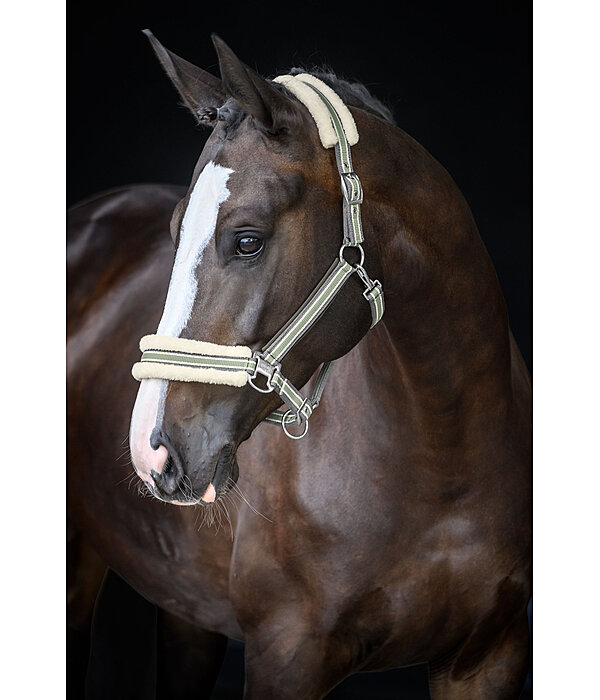 Teddy Fleece Headcollar Essential II