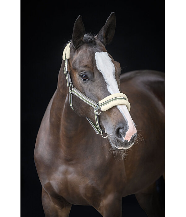 Teddy Fleece Headcollar Essential II