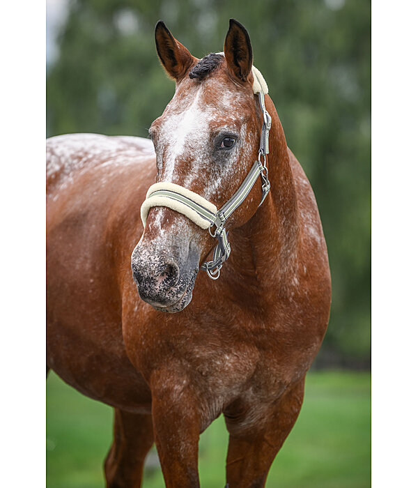 Teddy Fleece Headcollar Essential II