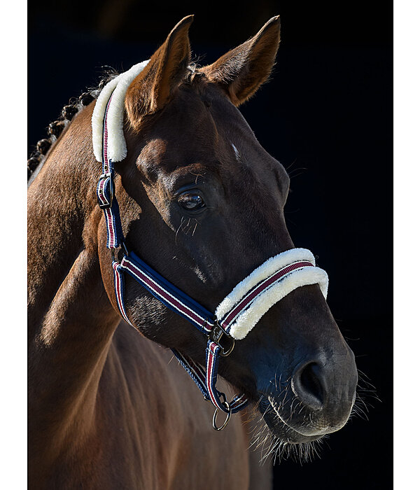 Teddy Fleece Headcollar Essential II