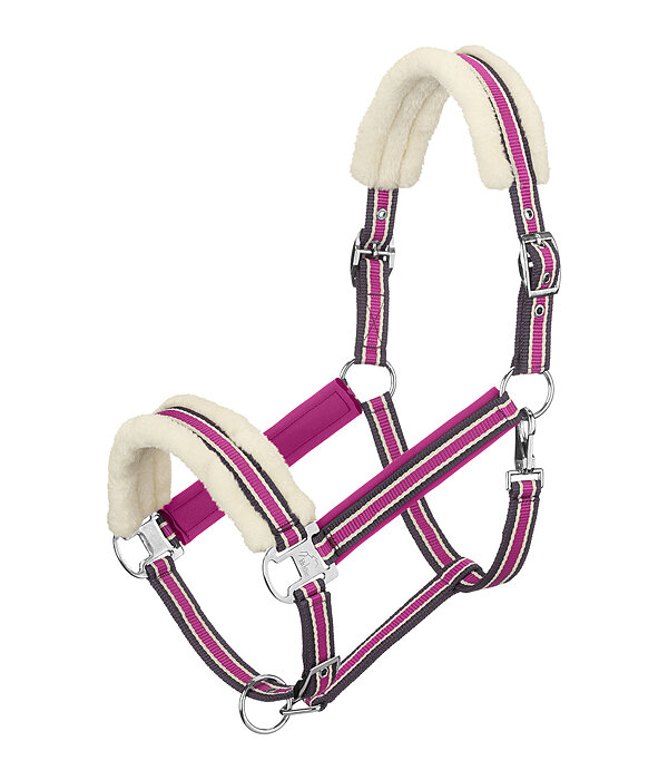 Teddy Fleece Headcollar Essential II