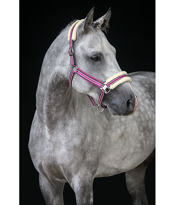 Teddy Fleece Headcollar Essential II